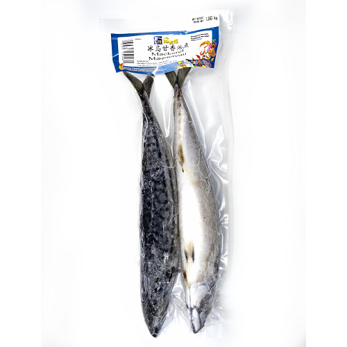 Mackerel_WR_VP_01